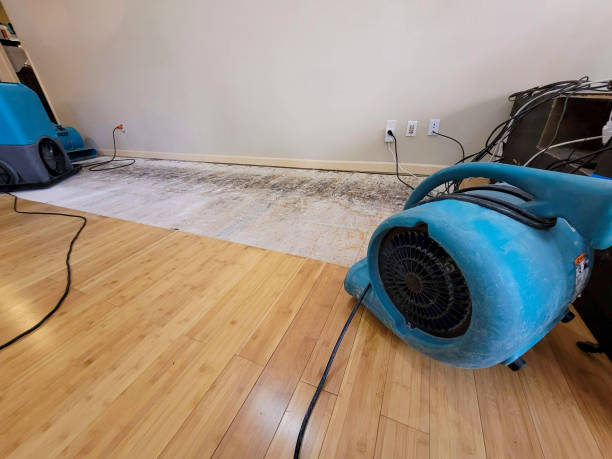 Professional Structural Drying technician working in Stillwater, OK